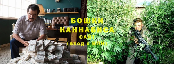 шишки Куйбышев