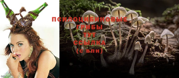 шишки Куйбышев